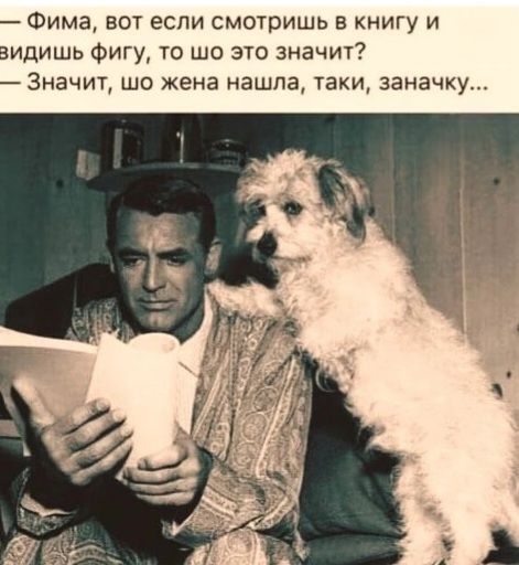 — Фима, вот если смотришь в книгу и видишь фигу, то шо это значит? — Значит, шо жена нашла, таки, заначку...