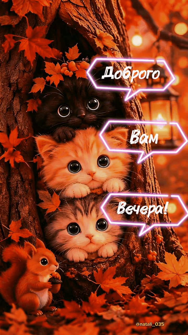 Доброго Вам Вечера!