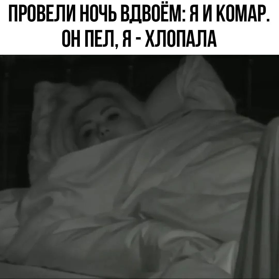 ПРОВЕЛИ НОЧЬ ВДВОЁМ: Я И КОМАР. ОН ПЕЛ, Я - ХЛОПАЛА
