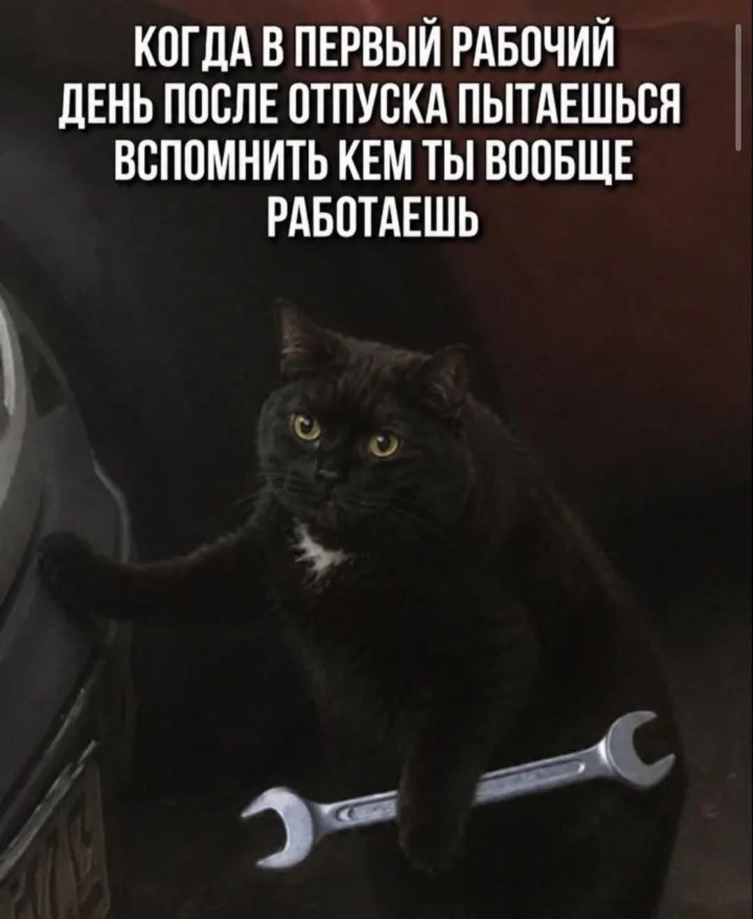 КОГДА В ПЕРВЫЙ РАБОЧИЙ ДЕНЬ ПОСЛЕ ОТПУСКА ПЫТАЕШЬСЯ ВСПОМНИТЬ КЕМ ТЫ ВООБЩЕ РАБОТАЕШЬ