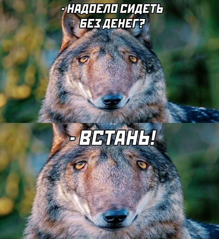 НАДОЕЛО СИДЕТЬ БЕЗ ДЕНЕГ? - ВСТАНЬ!