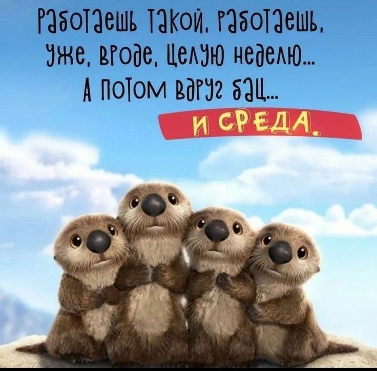 Работаешь такой, работаешь, уже, вроде, целую неделю... А потом вдруг бац... И среда.