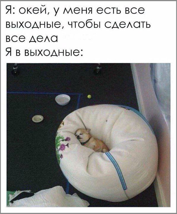 Я: окей, у меня есть все выходные, чтобы сделать все дела. Я в выходные: