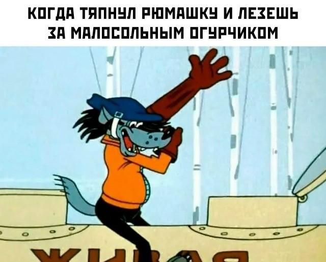 КОГДА ТЯПНУЛ РЮМАШКУ И ЛЕЗЕШЬ ЗА МАЛОСОЛЬНЫМ ОГУРЧИКОМ