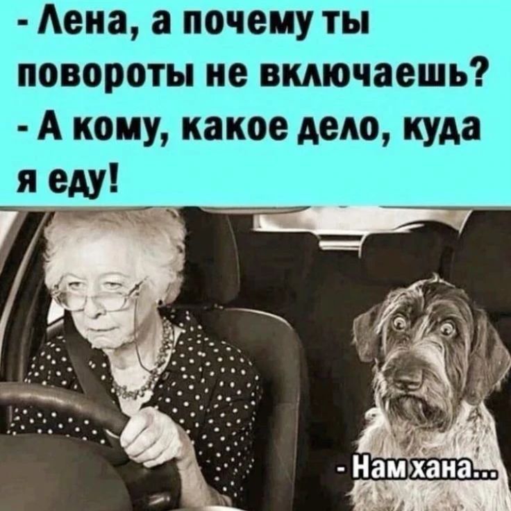 - Лена, а почему ты повороты не включаешь? - А кому, какое дело, куда я еду! - Нам хана...