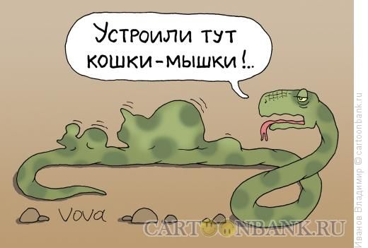 Устроили тут кошки-мышки!