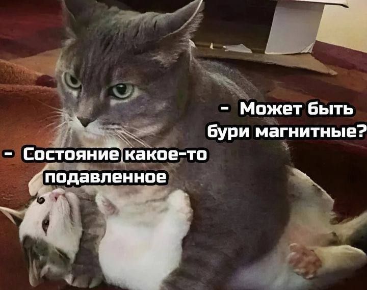 Может быть бури магнитные?
Состояние какое-то подавленное