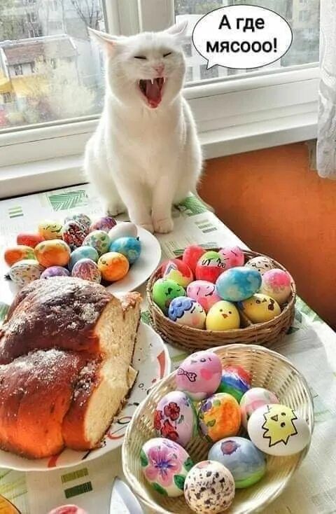 А где мяcооо!