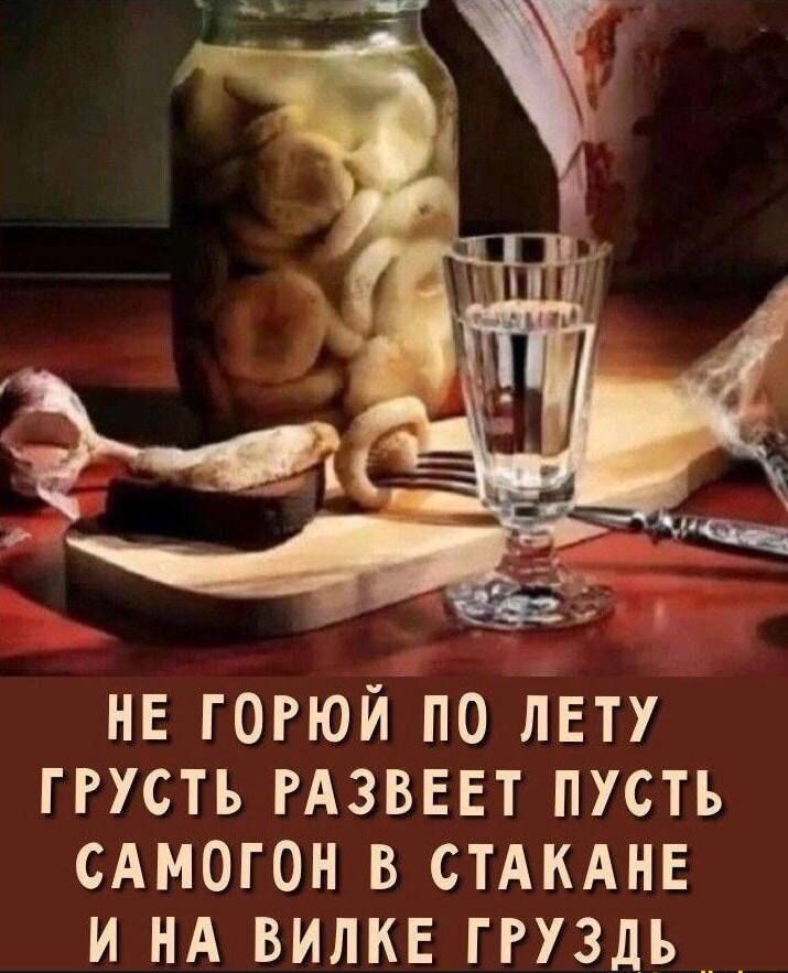 НЕ ГОРЮЙ ПО ЛЕТУ ГРУСТЬ РАЗВЕЕТ ПУСТЬ САМОГОН В СТАКАНЕ И НА ВИЛКЕ ГРУЗДЬ