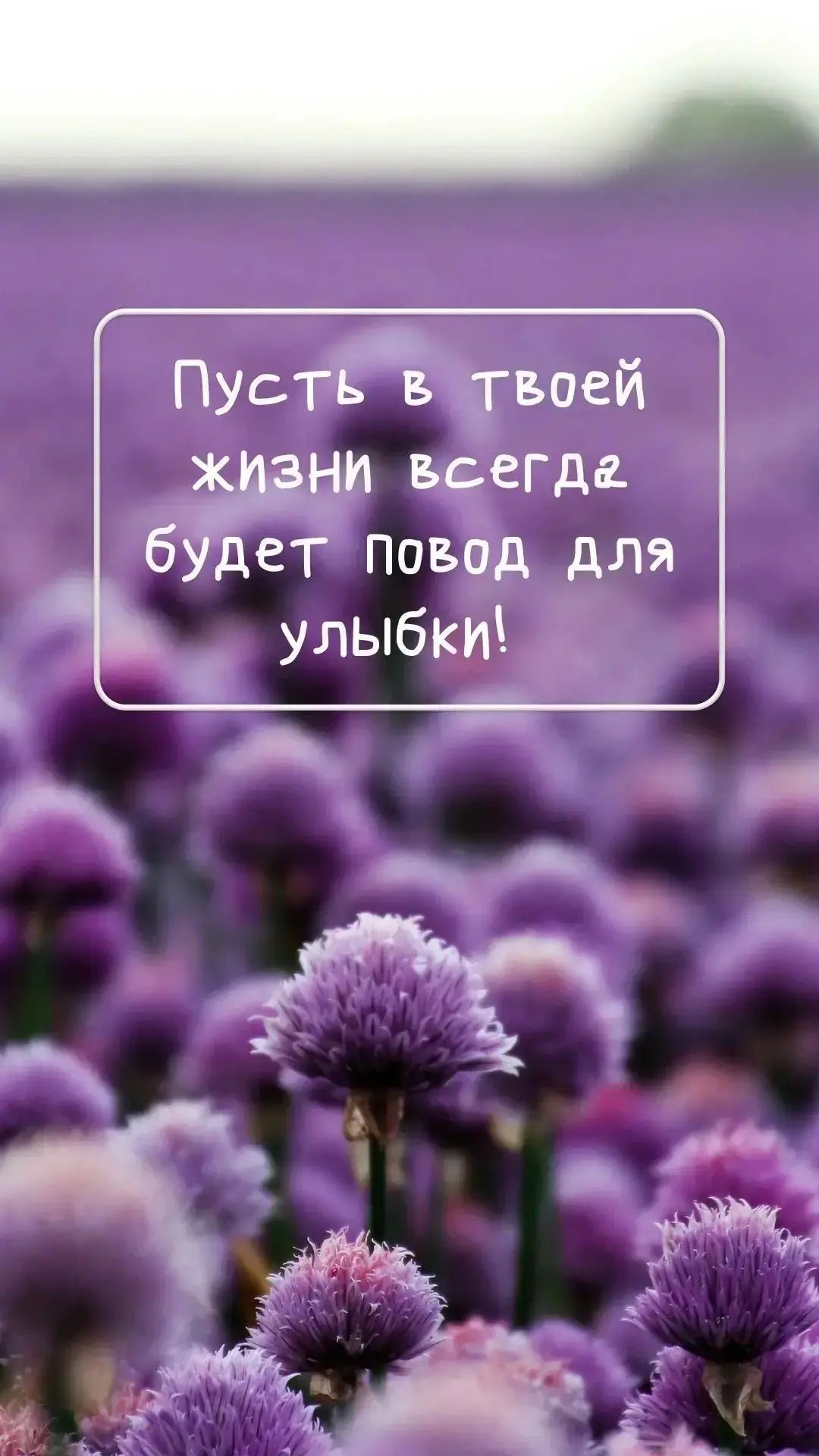 Пусть в твоей жизни всегда будет повод для улыбки!