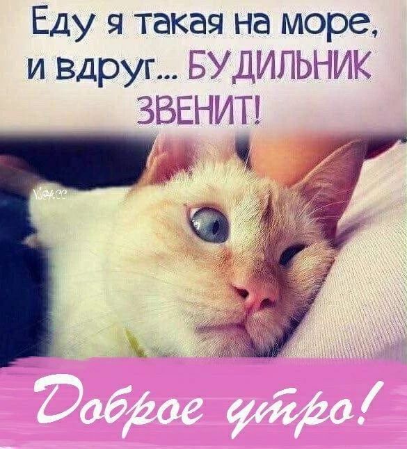 Еду я такая на море, и вдруг... БУДИЛЬНИК ЗВЕНИТ! Доброе утро!