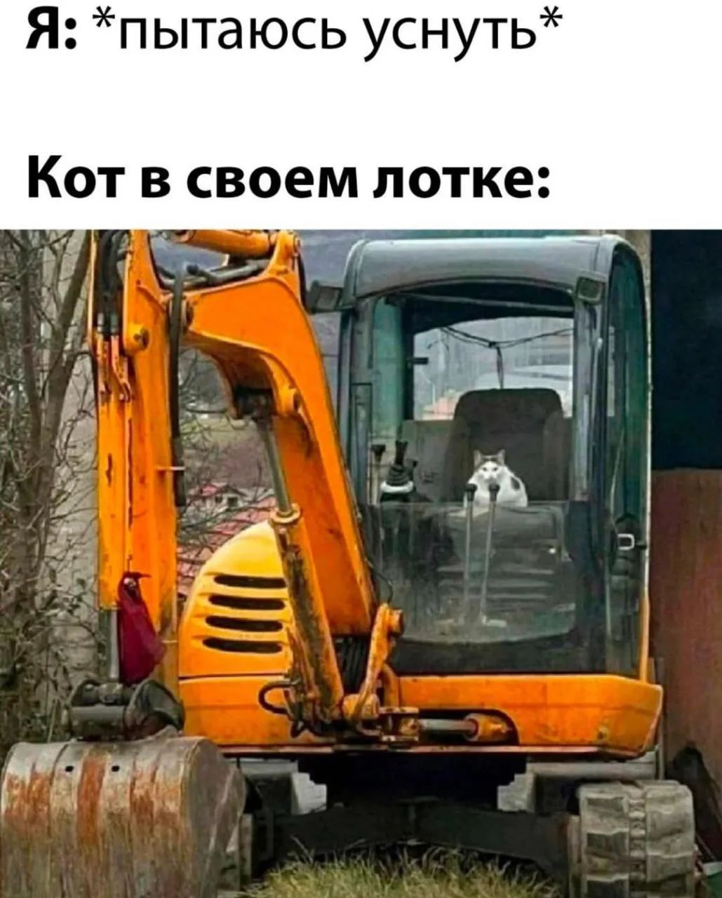 Я: *пытаюсь уснуть* Кот в своем лотке: