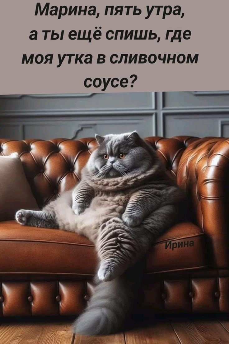 Марина, пять утра, а ты ещё спишь, где моя утка в сливочном соусе?