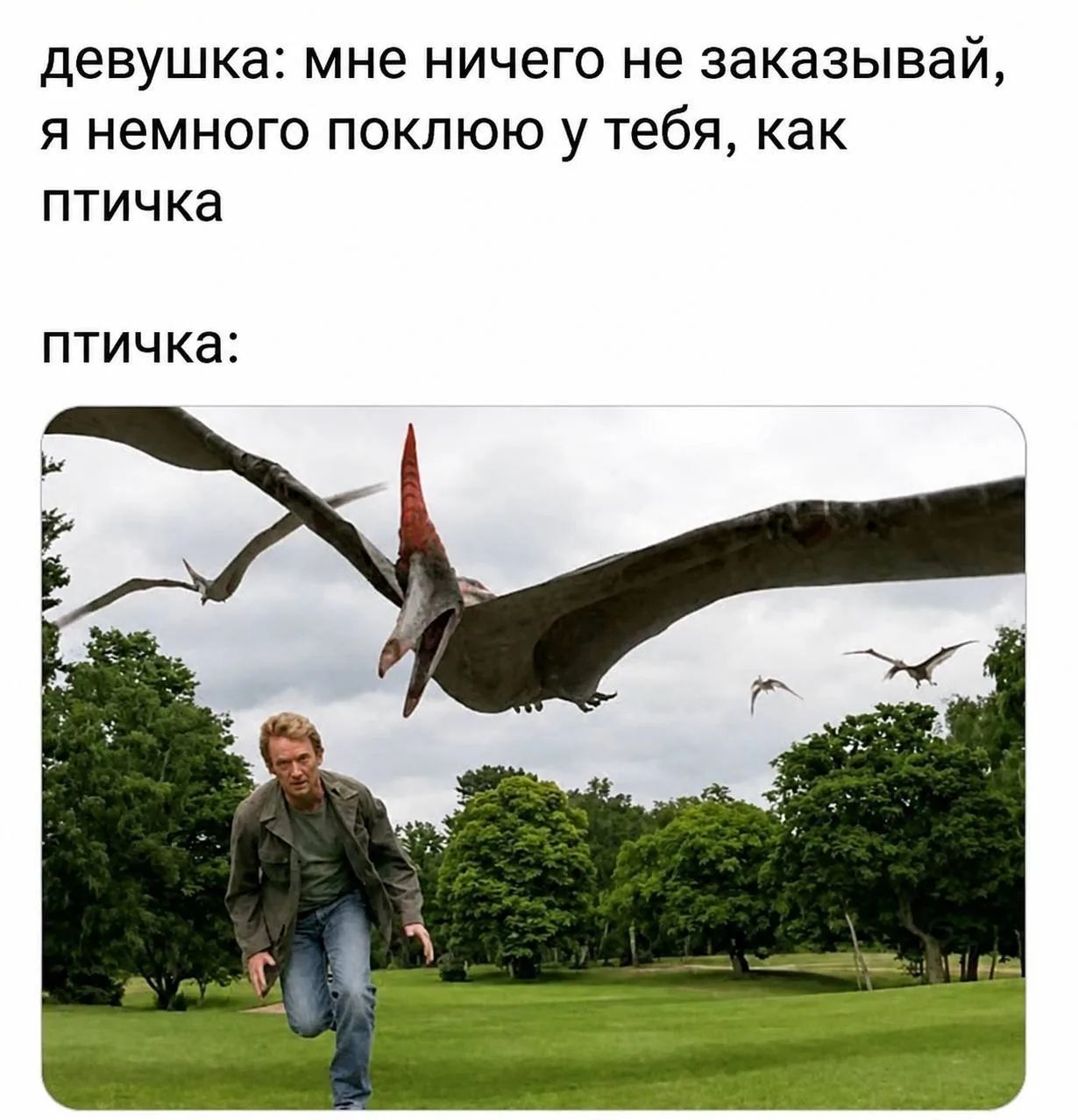 девушка: мне ничего не заказывай, я немного поклюю у тебя, как птичка птичка: