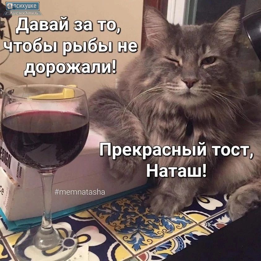 В ПСИХУШКЕ Давай за то, чтобы рыбы не дорожали! Прекрасный тост, Наташ! #memnatasha
