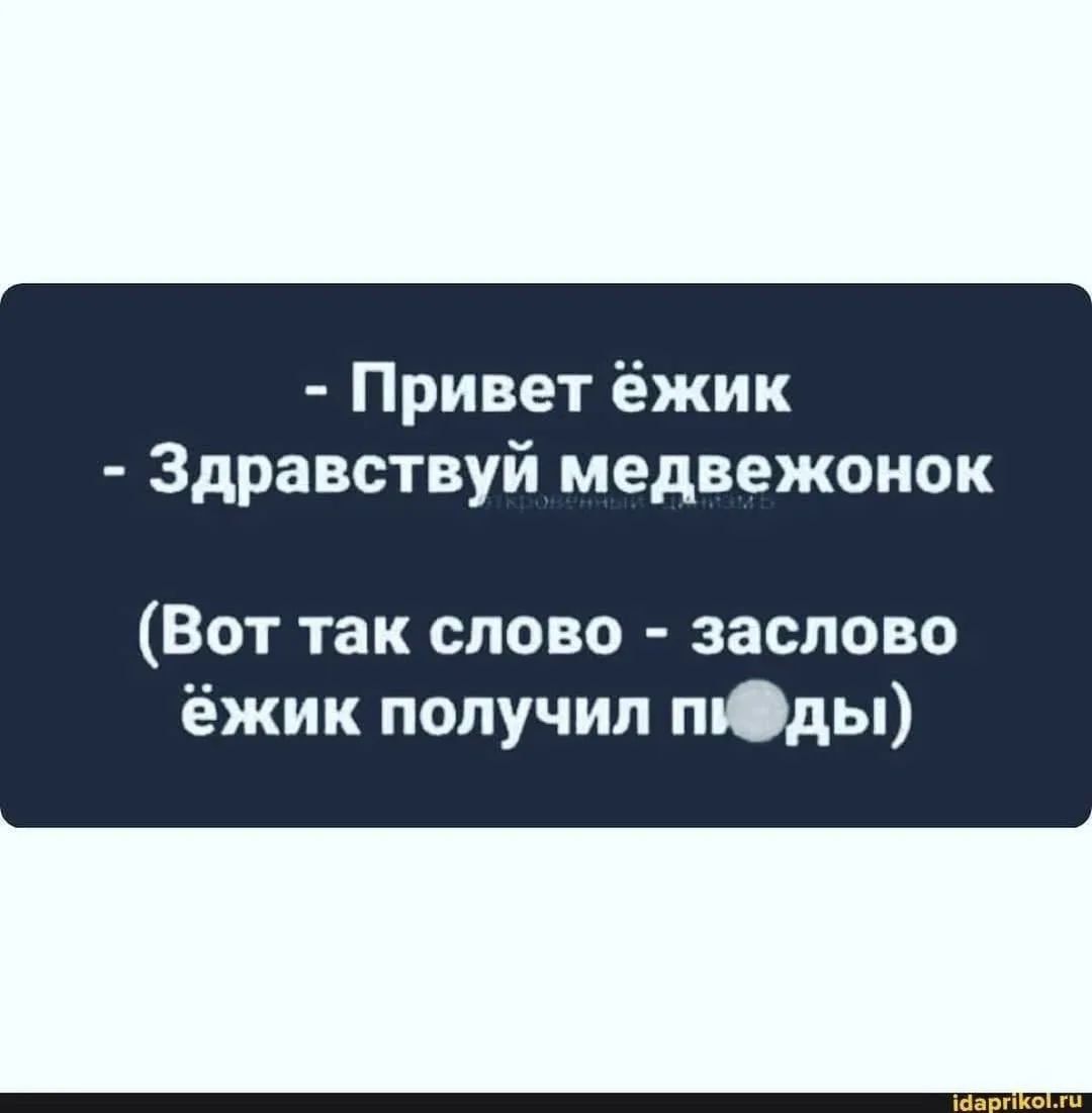 - Привет ёжик
- Здравствуй медвежонок
(Вот так слово - за слово ёжик получил пизды)