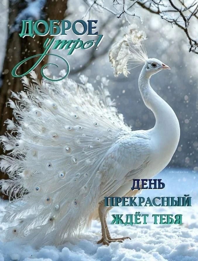 ДОБРОЕ УТРО! ДЕНЬ ПРЕКРАСНЫЙ ЖДЁТ ТЕБЯ