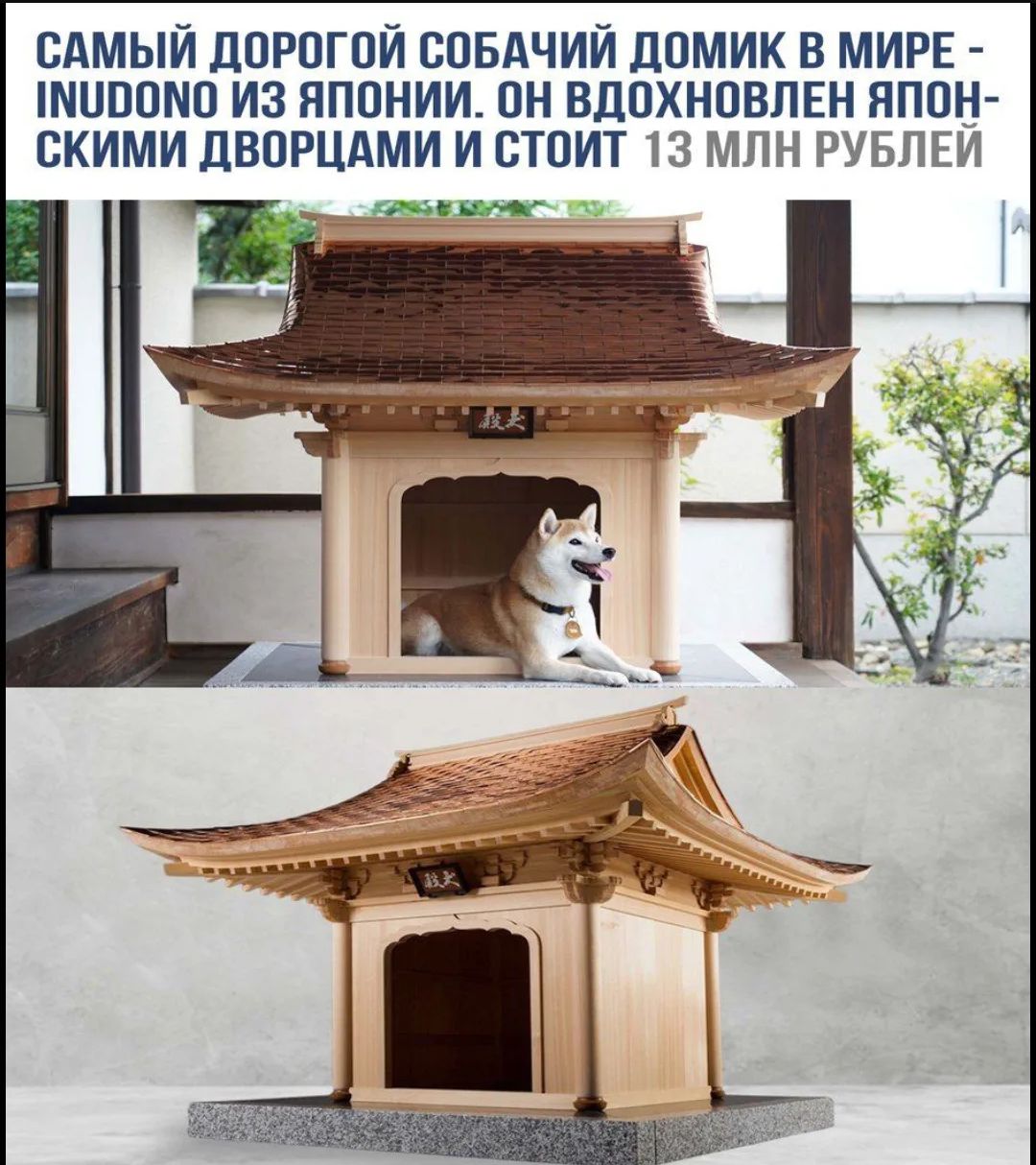 САМЫЙ ДОРОГОЙ СОБАЧИЙ ДОМИК В МИРЕ - INUDONO ИЗ ЯПОНИИ. ОН ВДОХНОВЛЕН ЯПОНСКИМИ ДВОРЦАМИ И СТОИТ 13 МЛН РУБЛЕЙ