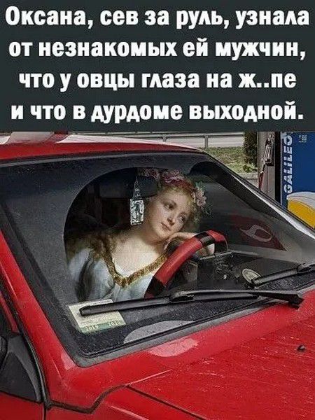 Оксана, сев за руль, узнала от незнакомых ей мужчин, что у овцы глаза на ж..пе и что в дурдоме выходной.