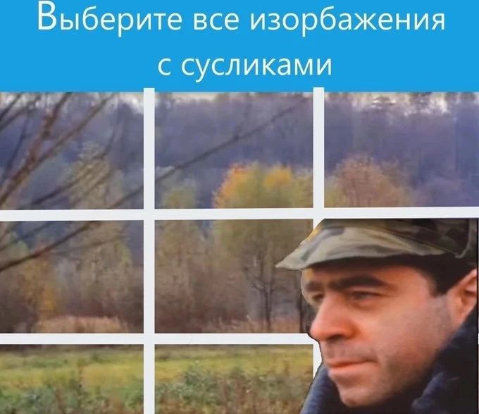Выберите все изображения с сусликами