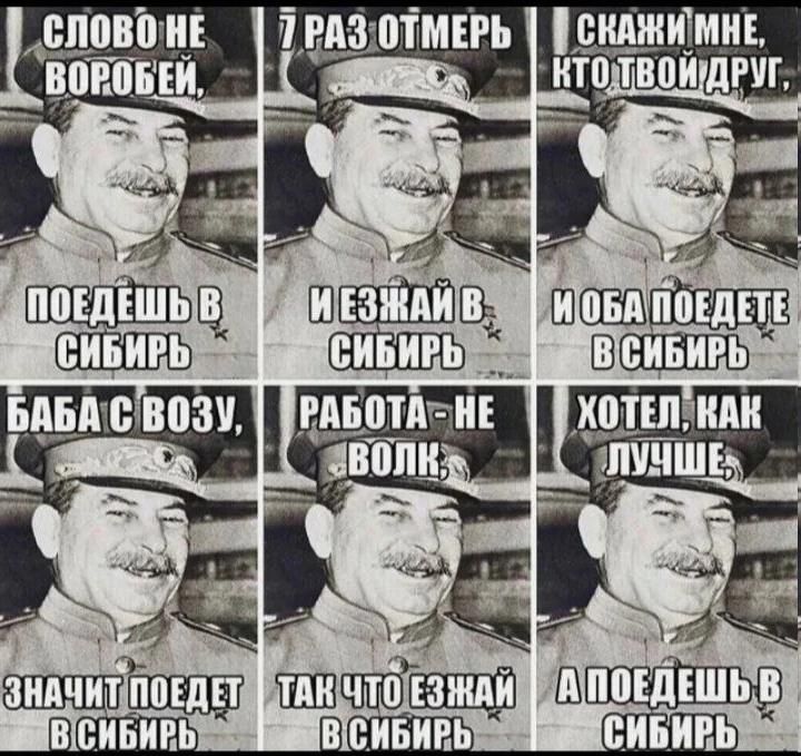 Слово не воробей, подешешь в Сибирь. 7 раз отмерь, и езжай в Сибирь. Скажи мне кто твой друг, и оба поедете в Сибирь. Баба с возу, значит поедет в Сибирь. Работа не волк, так что езжай в Сибирь. Хотел как лучше, а поедешь в Сибирь.
