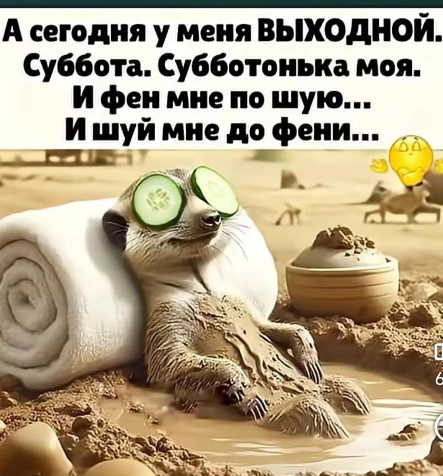 А сегодня у меня ВЫХОДНОЙ. Суббота. Субботонька моя. И фен мне по шую... И шуй мне до фени...