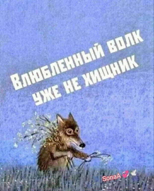 Влюбленный волк уже не хищник