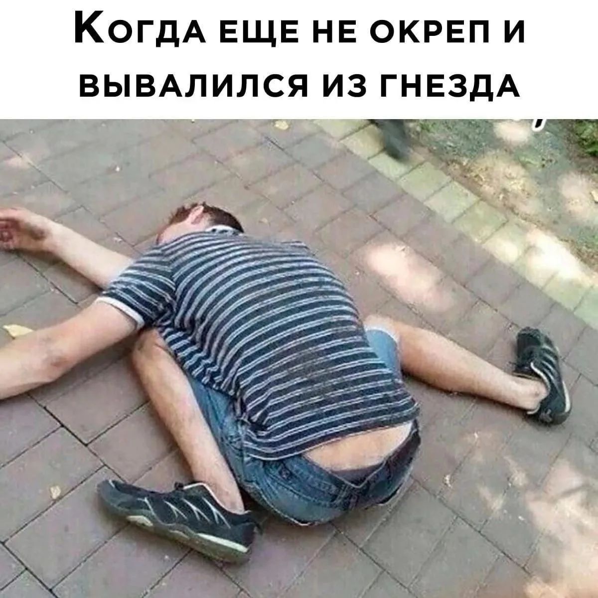 Когда еще не окреп и вывалился из гнезда