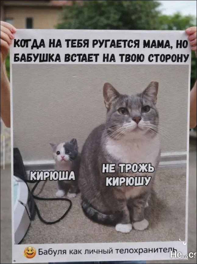 КОГДА НА ТЕБЯ РУГАЕТСЯ МАМА, НО БАБУШКА ВСТАЕТ НА ТВОЮ СТОРОНУ. КИРЮША. НЕ ТРОЖЬ КИРЮШУ. Бабуля как личный телохранитель.