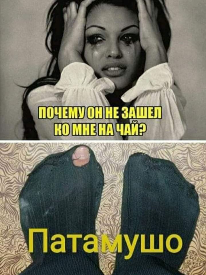 ПОЧЕМУ ОН НЕ ЗАШЕЛ КО МНЕ НА ЧАЙ? Патамушо