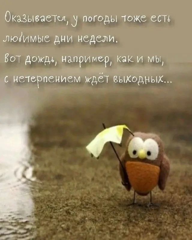 Оказывается, у погоды тоже есть любимые дни недели. Вот дождь, например, как и мы, с нетерпением ждёт выходных...