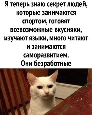 Я теперь знаю секрет людей, которые занимаются спортом, готовят всевозможные вкусняхи, изучают языки, много читают и занимаются саморазвитием. Они безработные