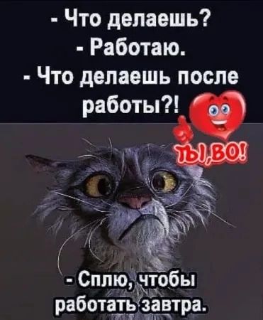 - Что делаешь?
- Работаю.
- Что делаешь после работы?!
ТЫ, ВО!
- Сплю, чтобы работать завтра.
