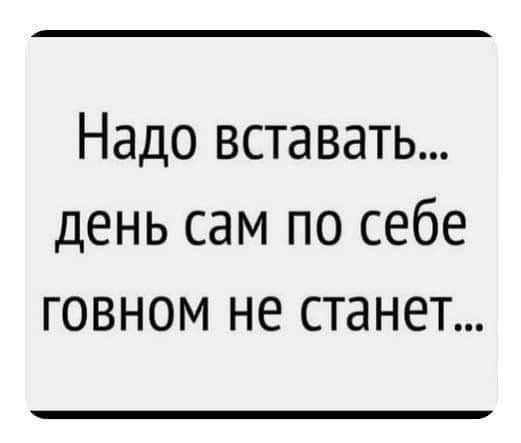 Надо вставать... день сам по себе говном не станет...