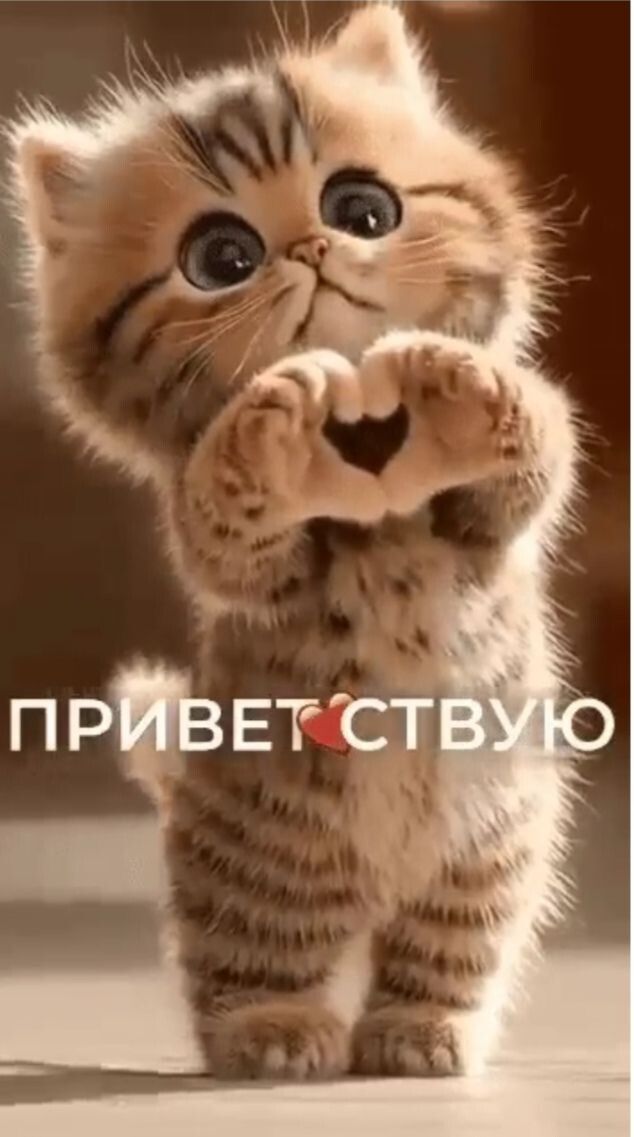ПРИВЕТСТВУЮ