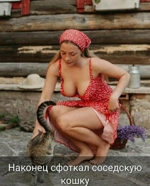 Наконец сфоткал соседскую кошку