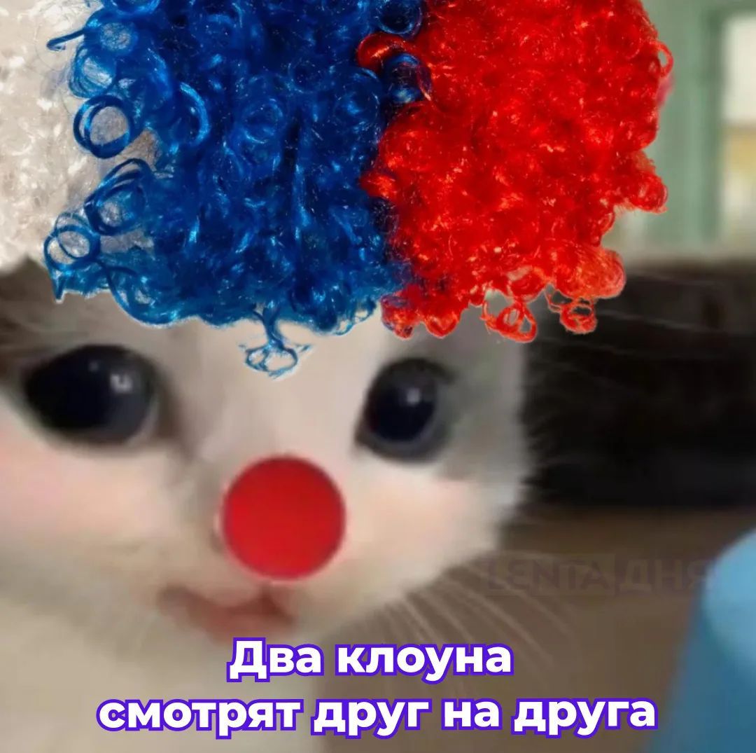 Два клоуна смотрят друг на друга