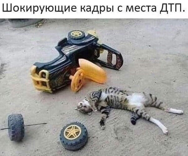 Шокирующие кадры с места ДТП.