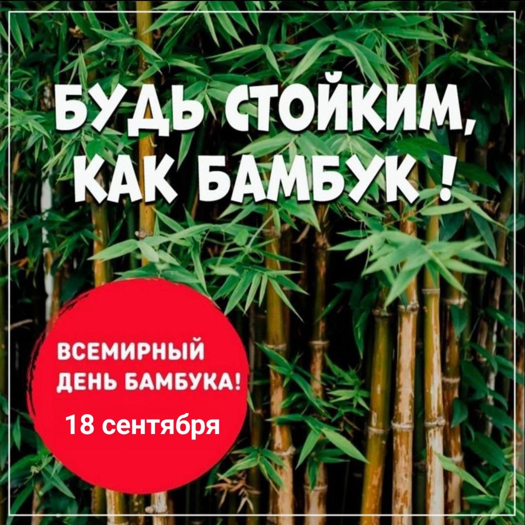 БУДЬ СТОЙКИМ, КАК БАМБУК! ВСЕМИРНЫЙ ДЕНЬ БАМБУКА! 18 сентября