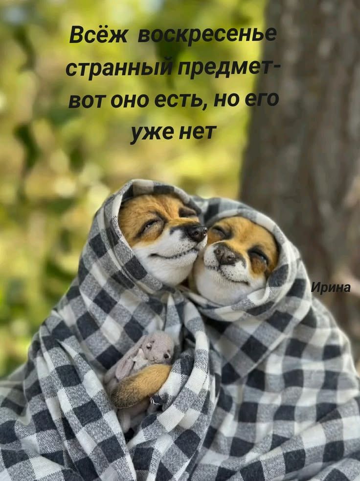 Всёж воскресенье странный предмет- вот оно есть, но его уже нет Ирина