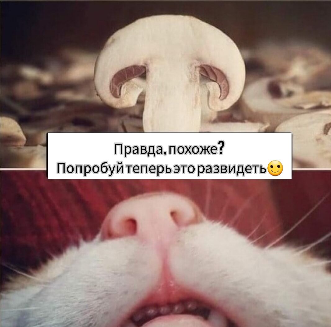 Правда, похоже? Попробуй теперь это развидеть 😉