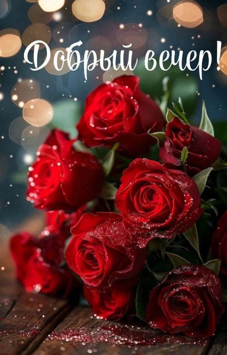 Добрый вечер!
