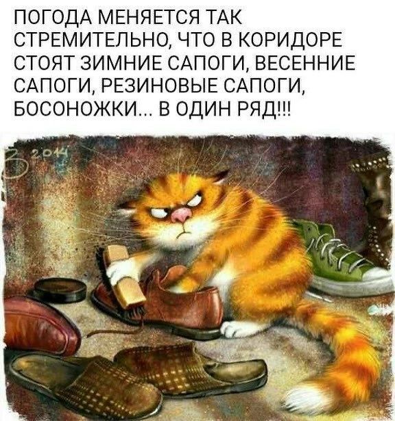 ПОГОДА МЕНЯЕТСЯ ТАК СТРЕМИТЕЛЬНО, ЧТО В КОРИДОРЕ СТОЯТ ЗИМНИЕ САПОГИ, ВЕСЕННИЕ САПОГИ, РЕЗИНОВЫЕ САПОГИ, БОСОНОЖКИ... В ОДИН РЯД!!!