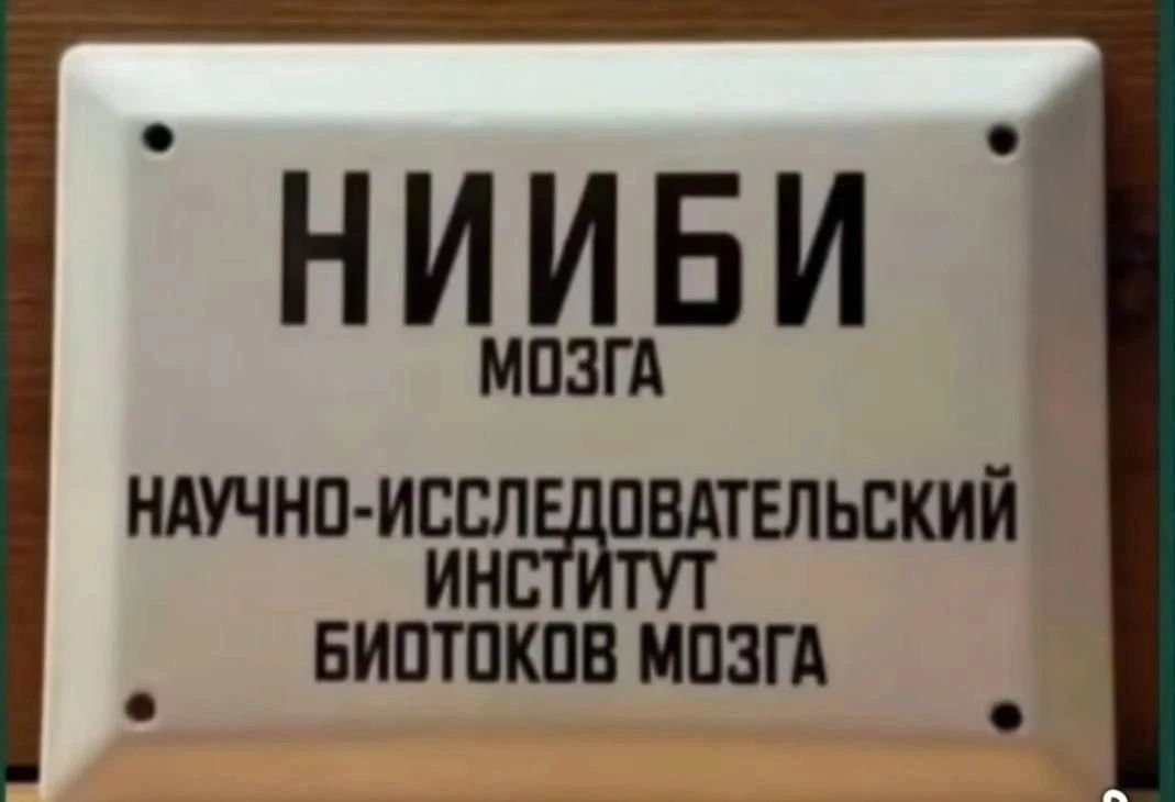 НИИИБИ МОЗГА НАУЧНО-ИССЛЕДОВАТЕЛЬСКИЙ ИНСТИТУТ БИОТОКОВ МОЗГА