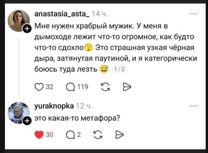 Мне нужен храбрый мужик. У меня в дымоходе лежит что-то огромное, как будто что-то сдохло. Это страшная узкая чёрная дыра, затянутая паутиной, и я категорически боюсь туда лезть. это какая-то метафора?