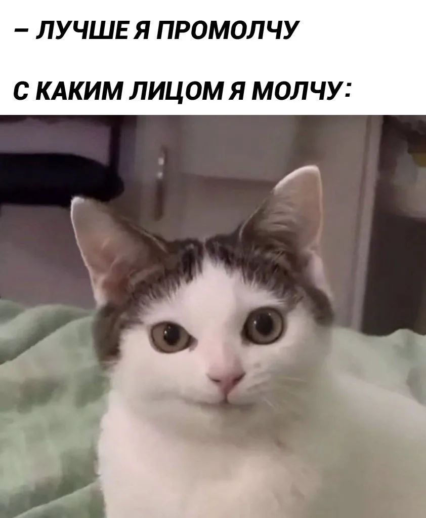 – ЛУЧШЕ Я ПРОМОЛЧУ С КАКИМ ЛИЦОМ Я МОЛЧУ: