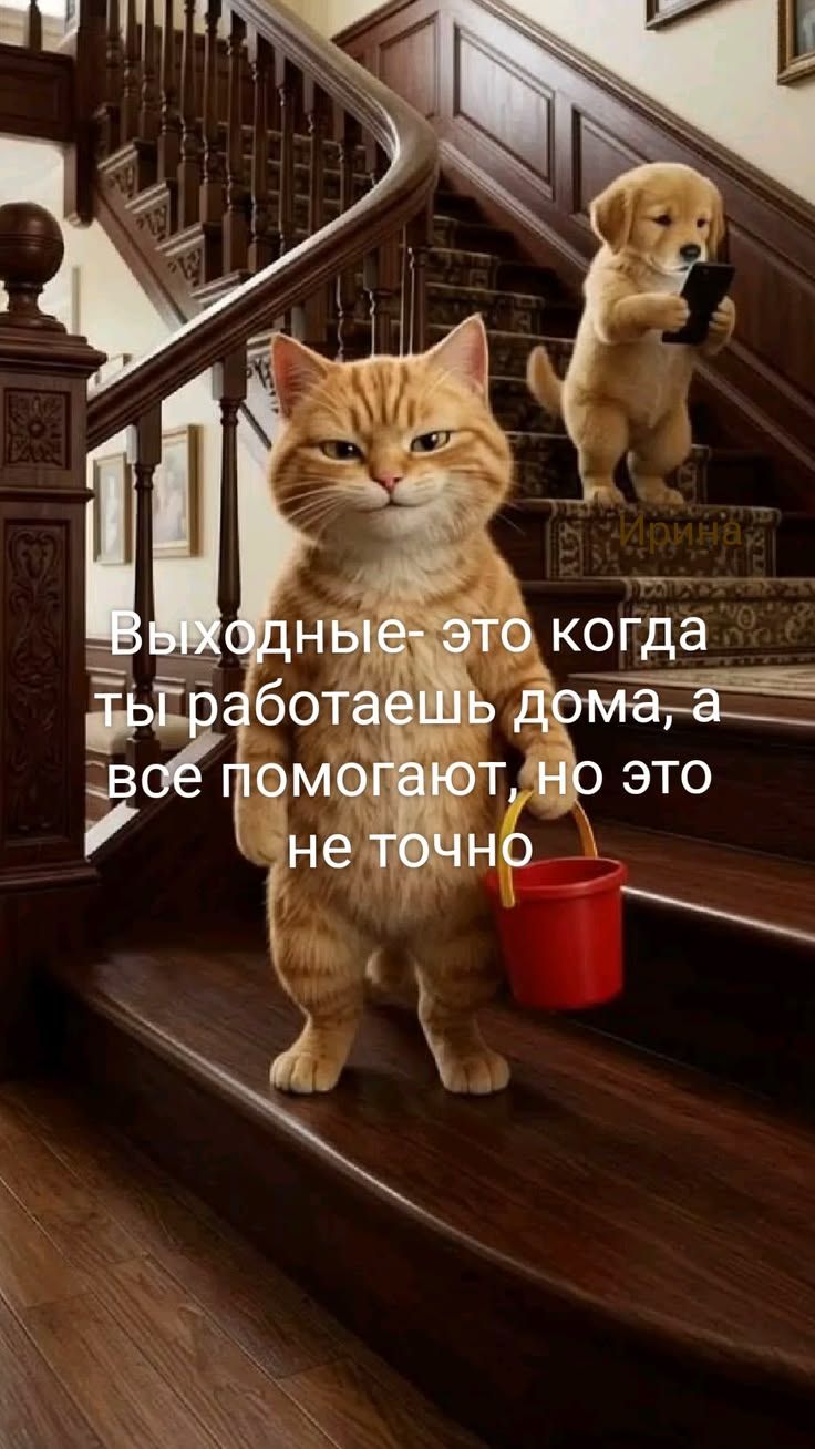 Выходные - это когда ты работаешь дома, а все помогают, но это не точно