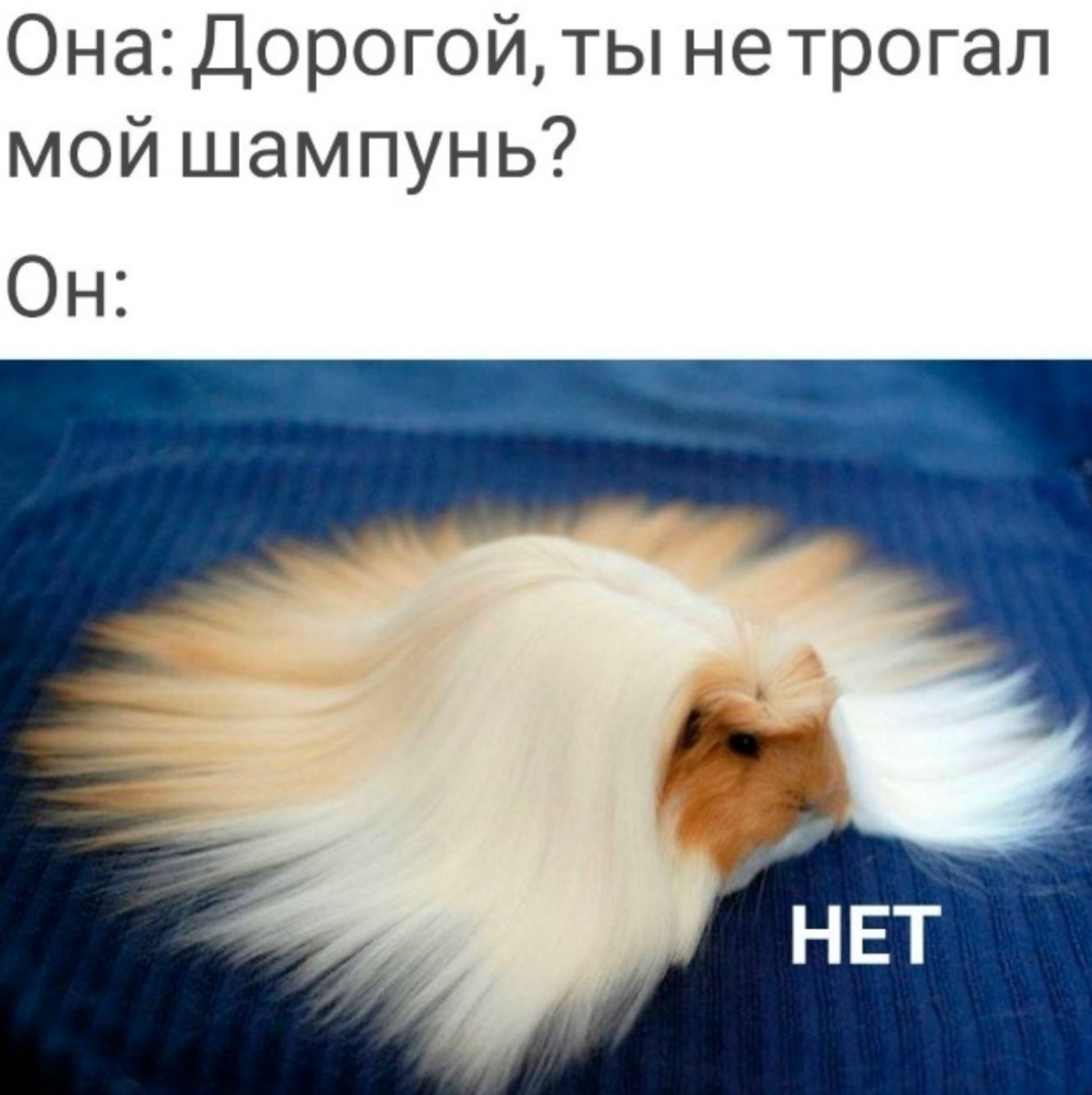 Она: Дорогой, ты не трогал мой шампунь? Он: НЕТ