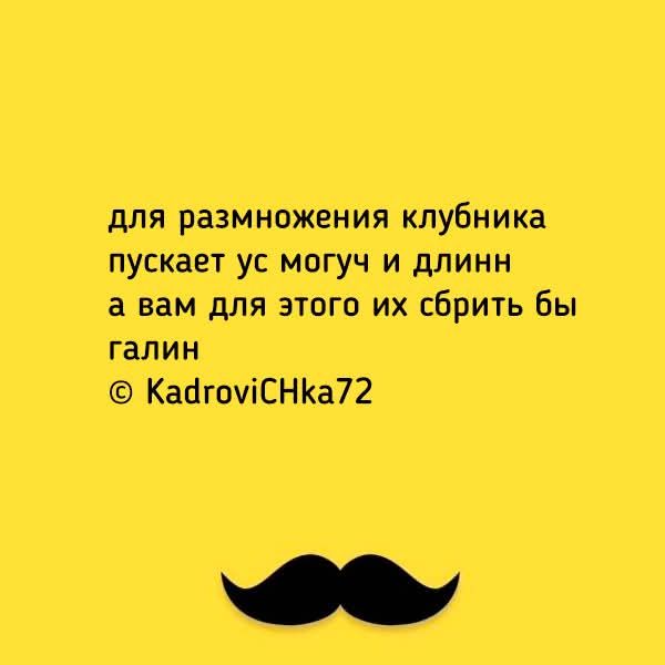 для размножения клубника пускает ус могуч и длинн а вам для этого их сбрить бы галин © KadroviCHka72