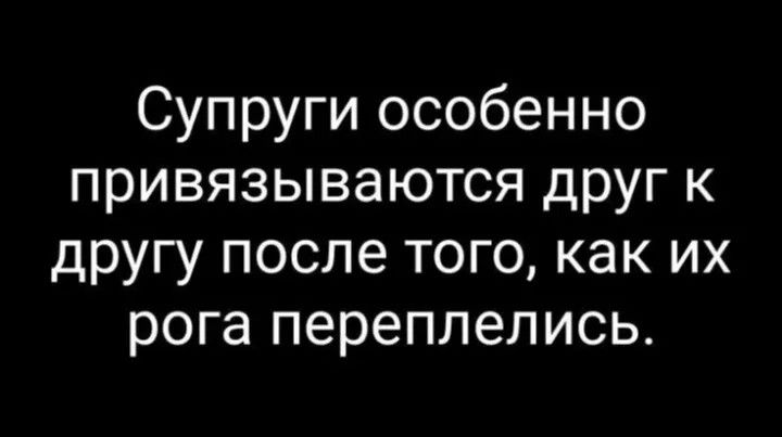 Супруги особенно привязываются друг к другу после того, как их рога переплелись.